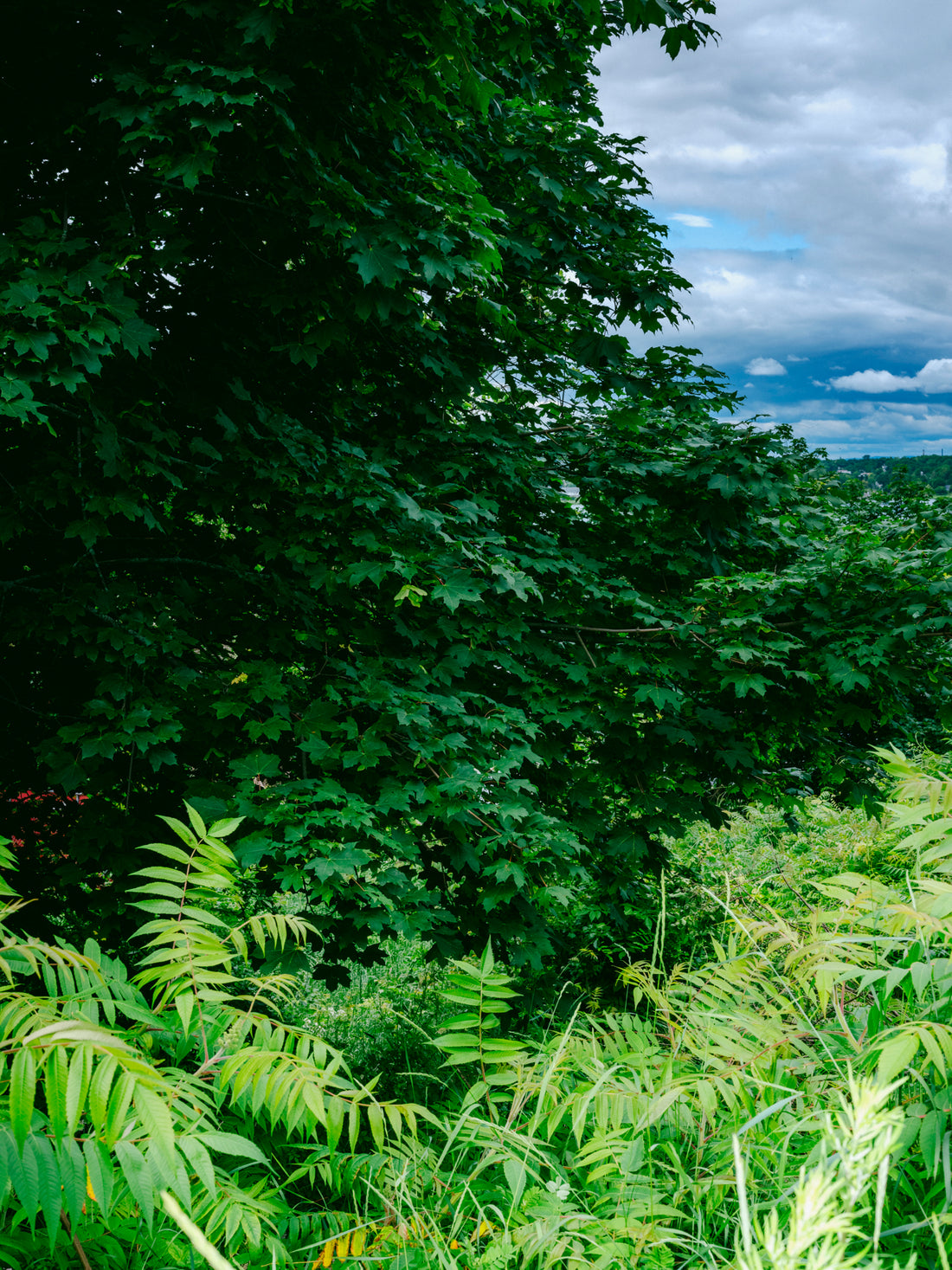 The Post Supply's Guide to Maine 2023