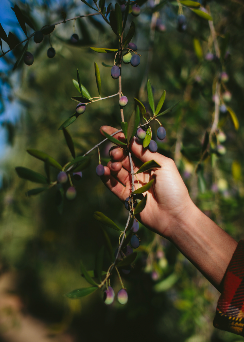 Skincare for Fall and Winter with Wonder Valley's Alison Carroll