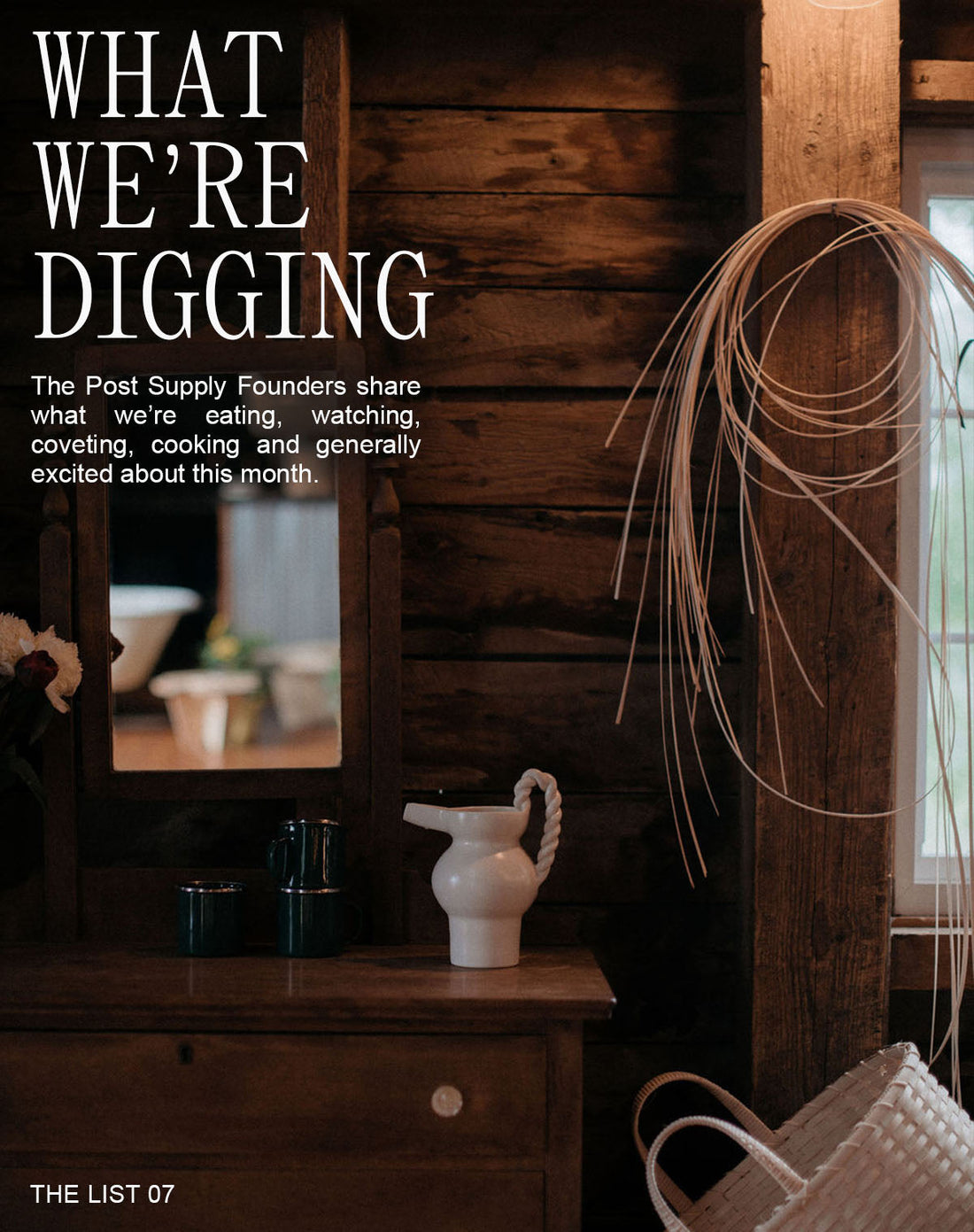 What We're Digging Vol. 7