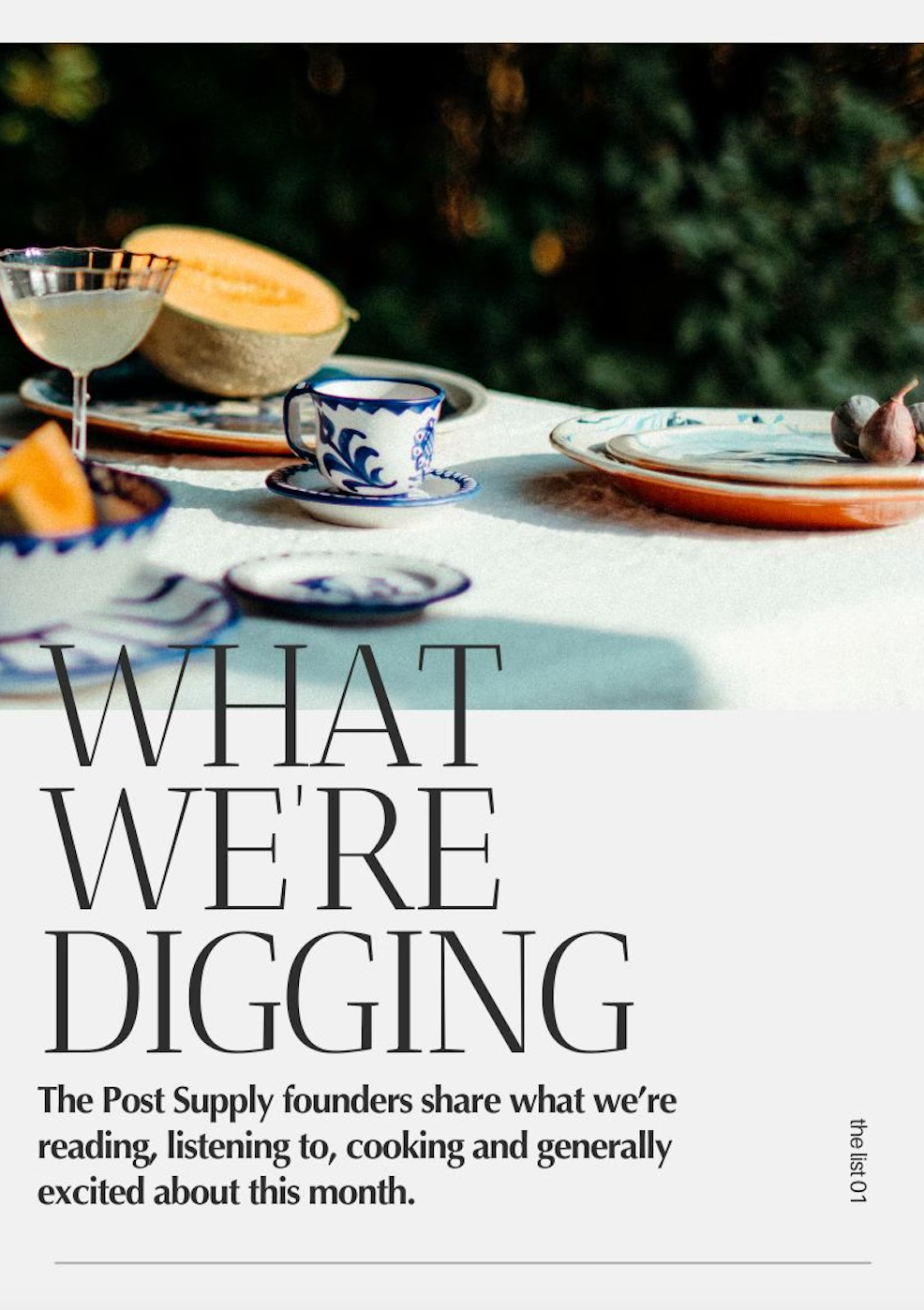 What We're Digging Vol. 1