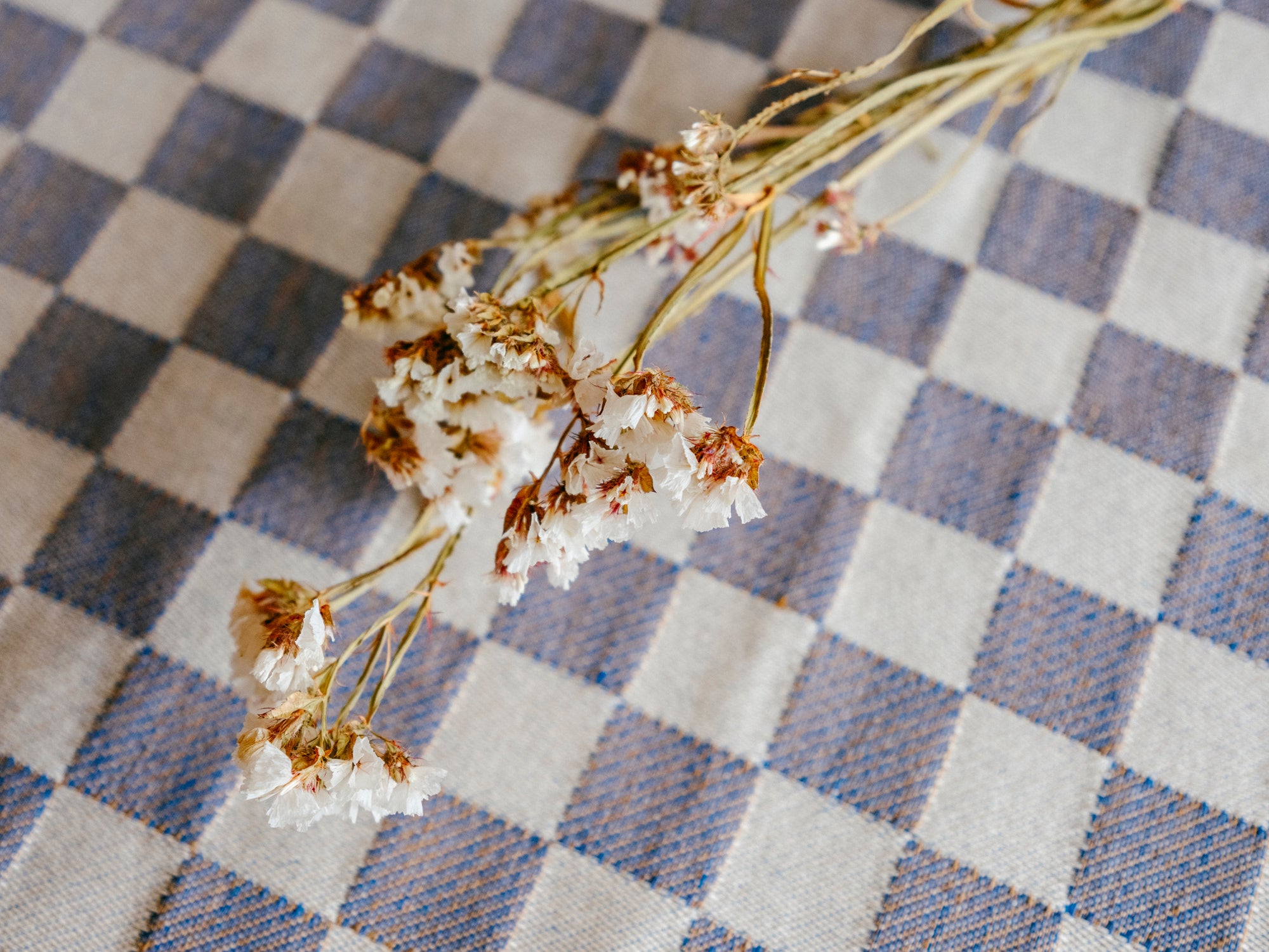 Checkerboard Placemat | Nettuno Blue
