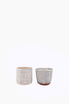 Dots Vessel