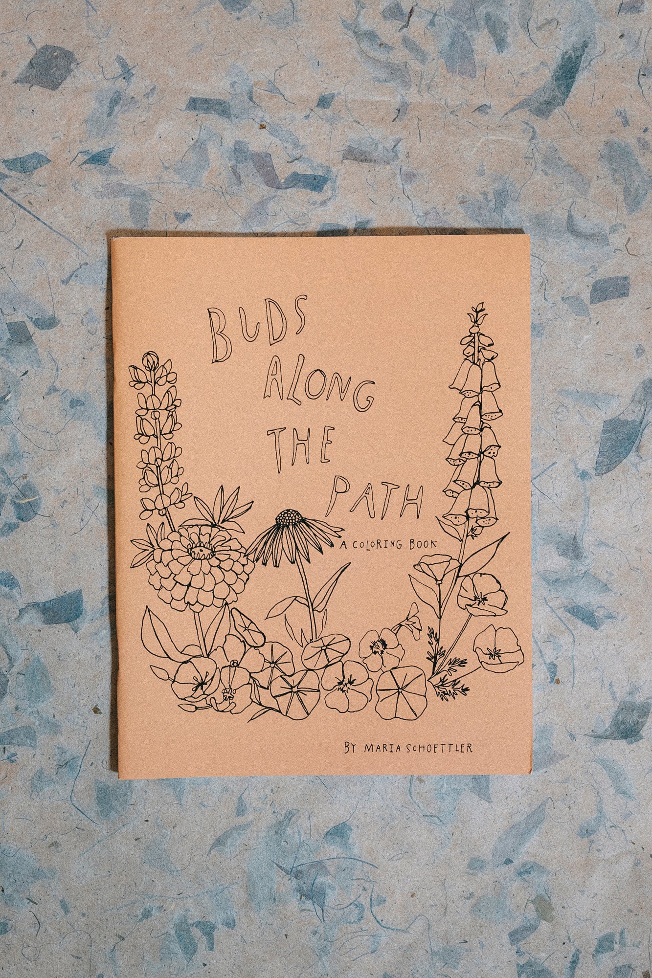 Buds Along the Path Coloring Book