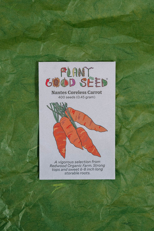 Assorted Vegetable Seeds