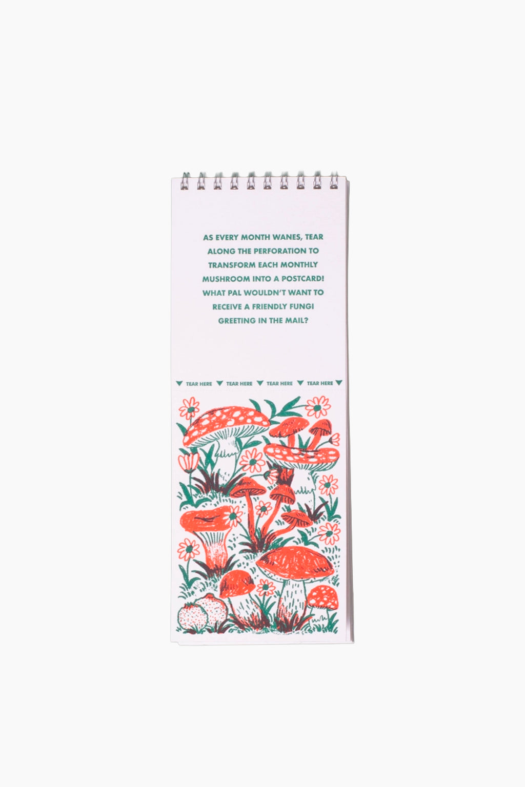 2027 Gnomes and Mushrooms Tear-Off Postcard Wall Calendar