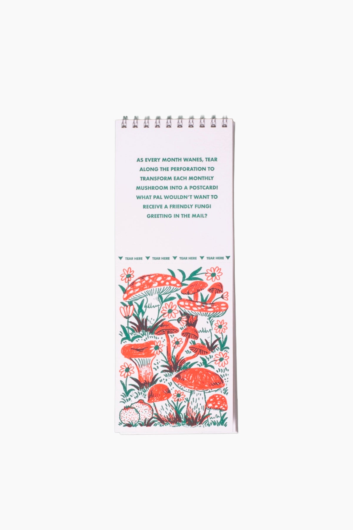 2027 Gnomes and Mushrooms Tear-Off Postcard Wall Calendar