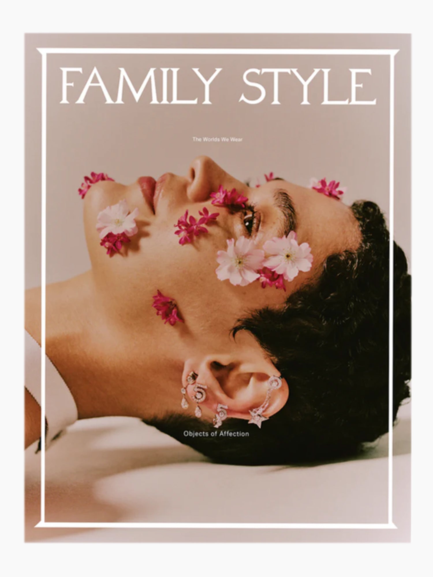Family Style No. 2 - Objects of Affection