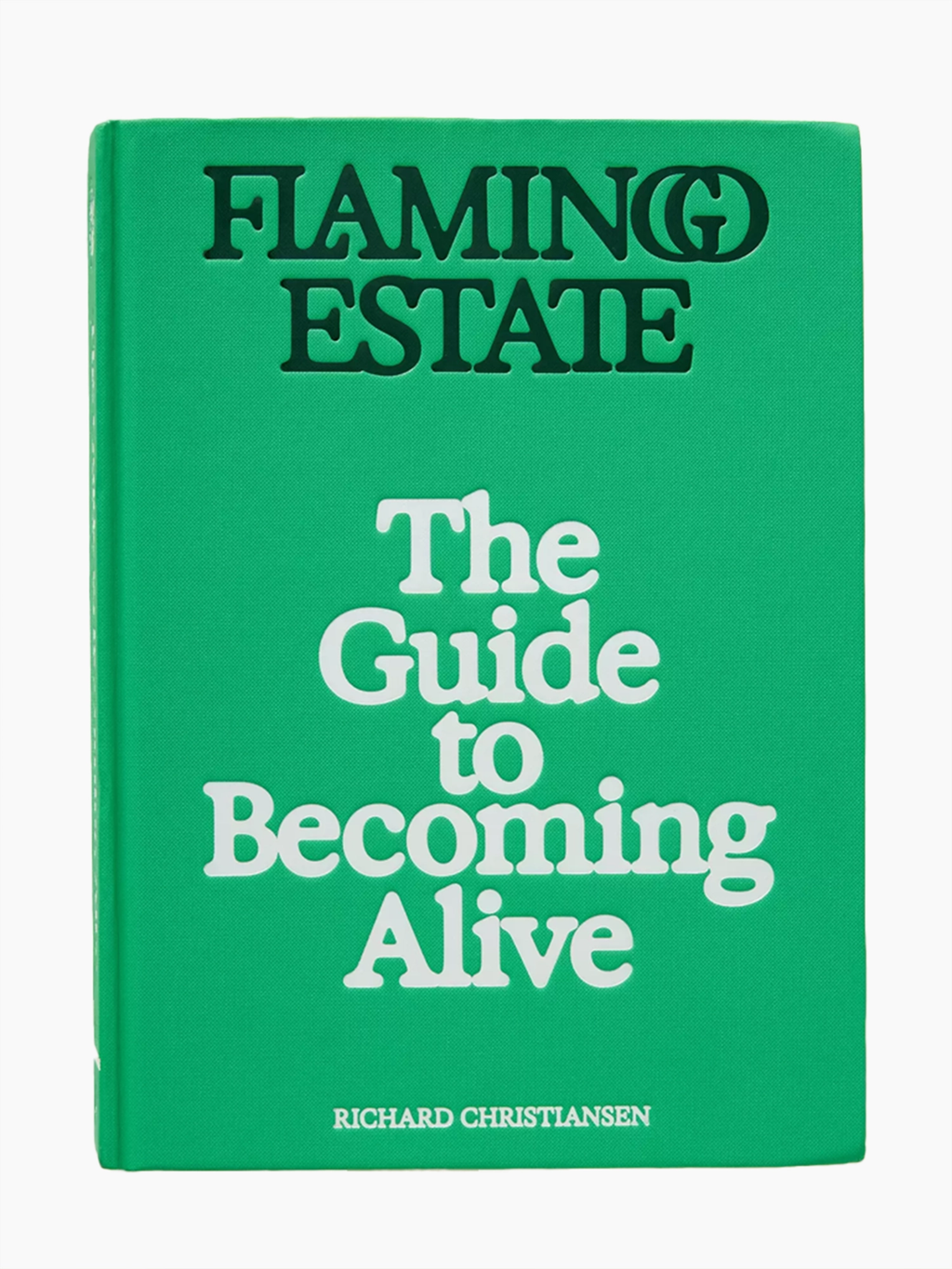 The Guide to Becoming Alive