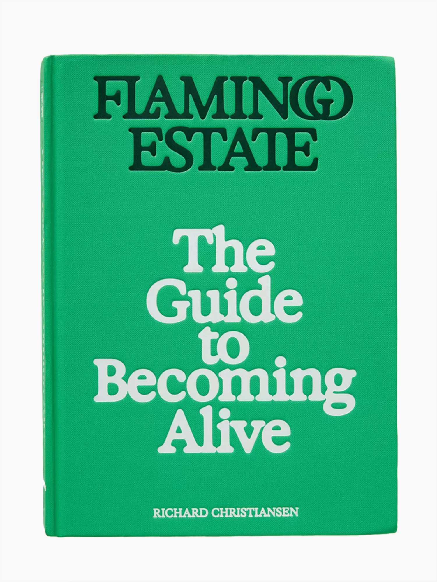 The Guide to Becoming Alive