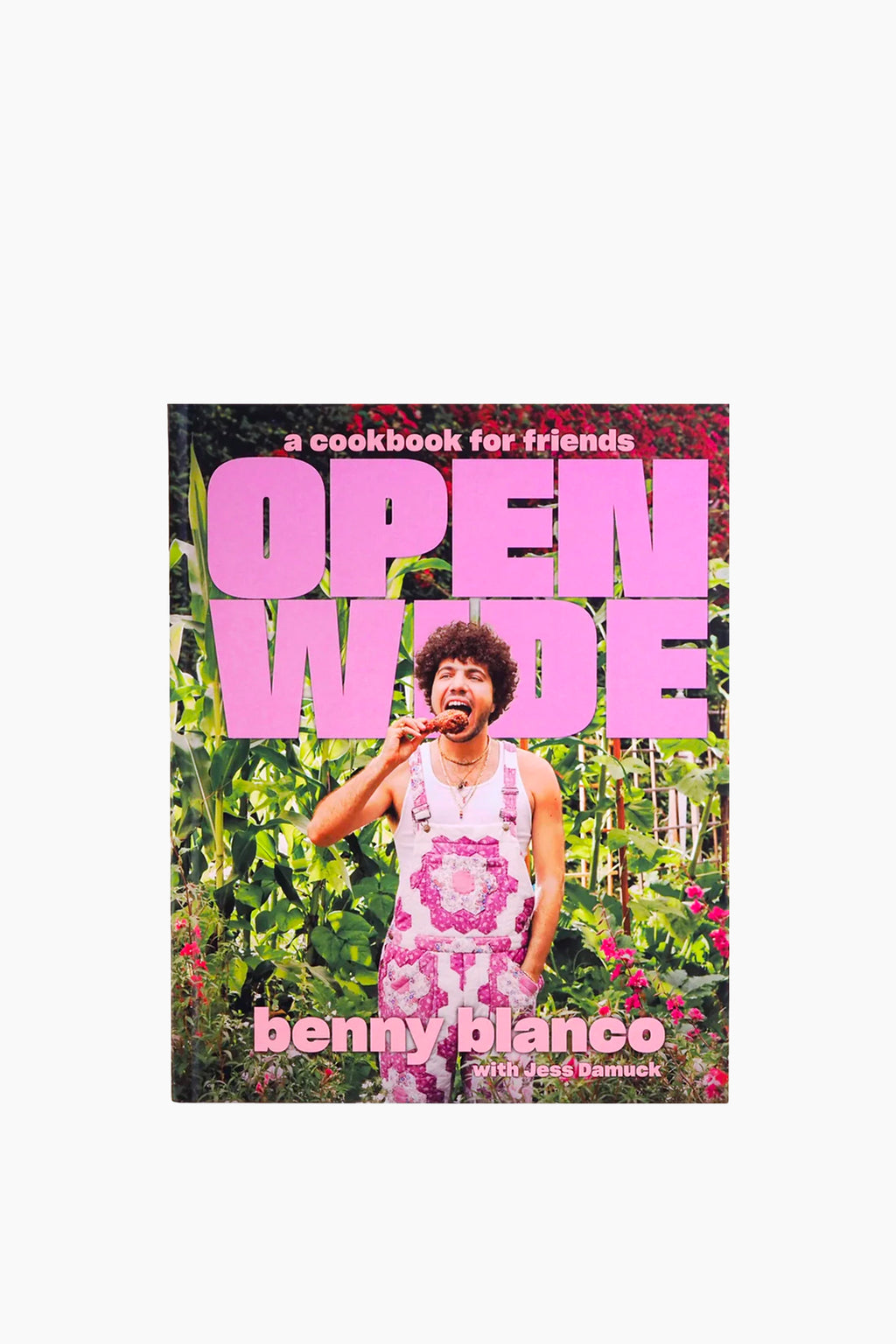 Open Wide: A Cookbook for Friends