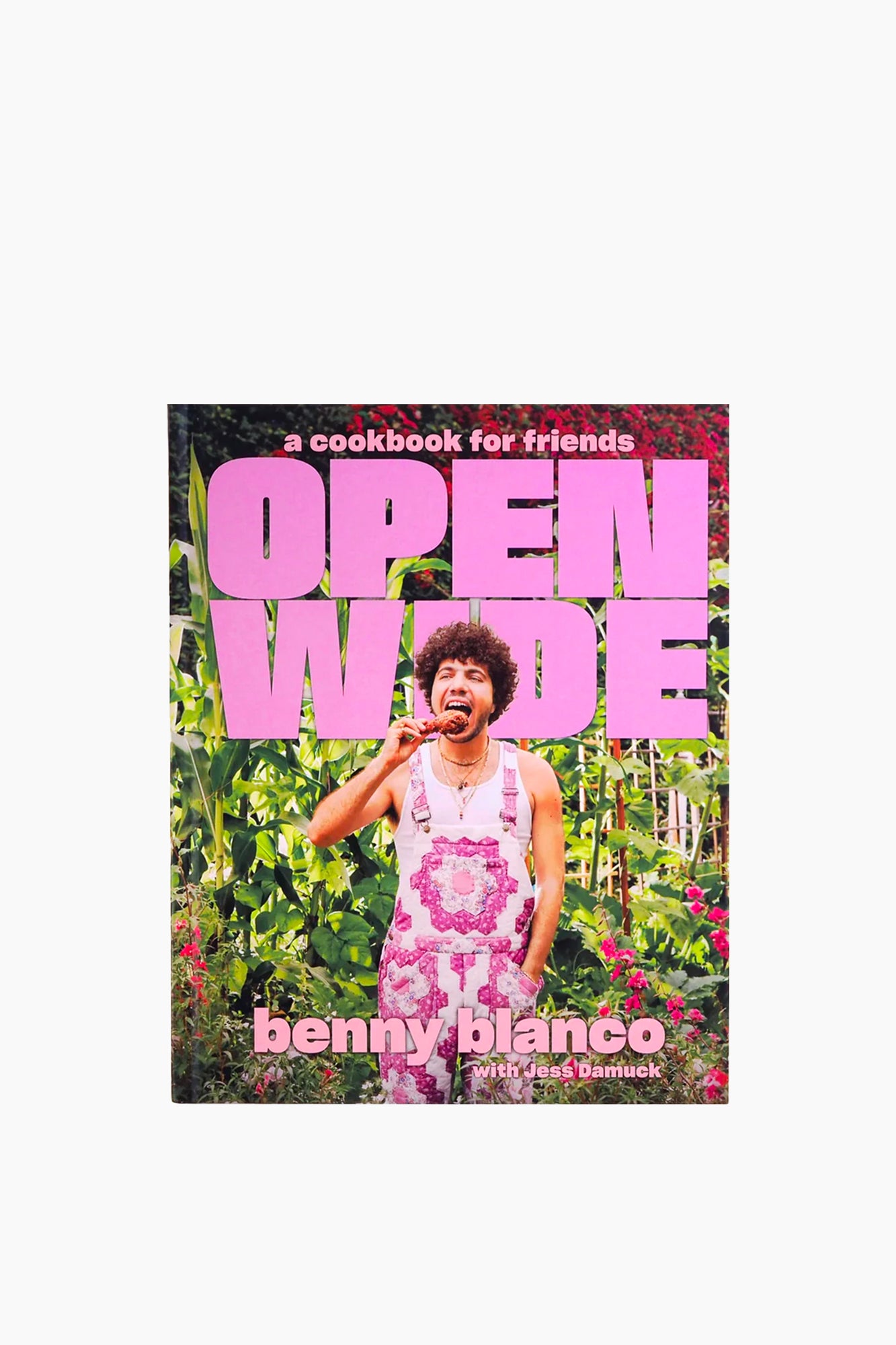 Open Wide: A Cookbook for Friends