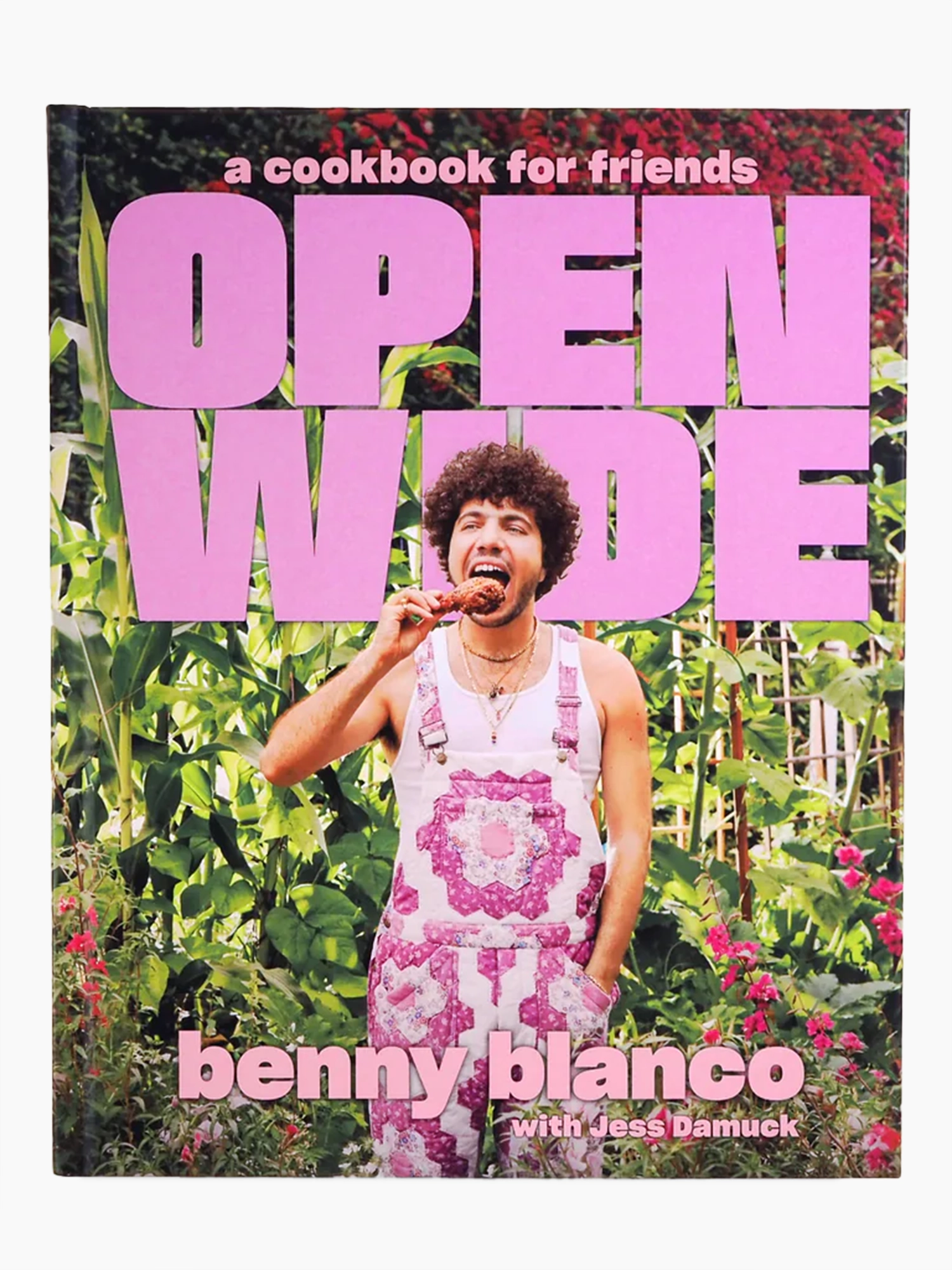 Open Wide: A Cookbook for Friends