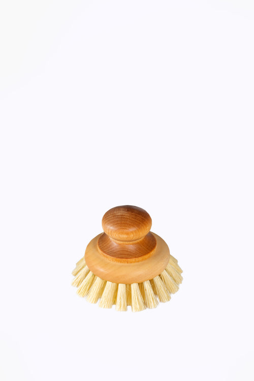 Big Pot Scrubber
