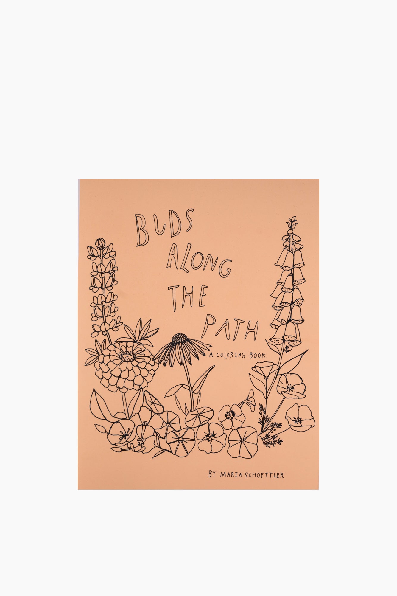 Buds Along the Path Coloring Book