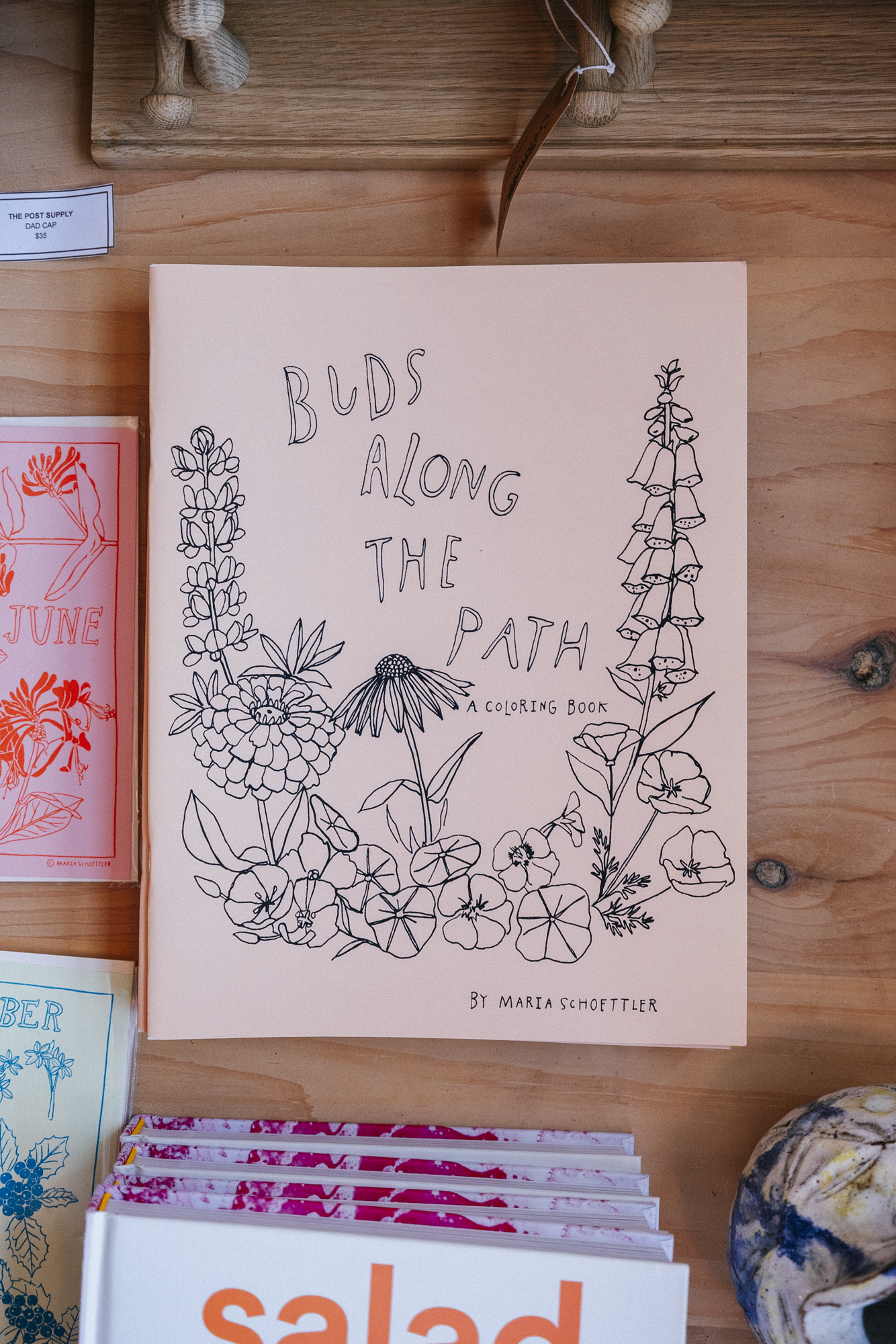 Buds Along the Path Coloring Book