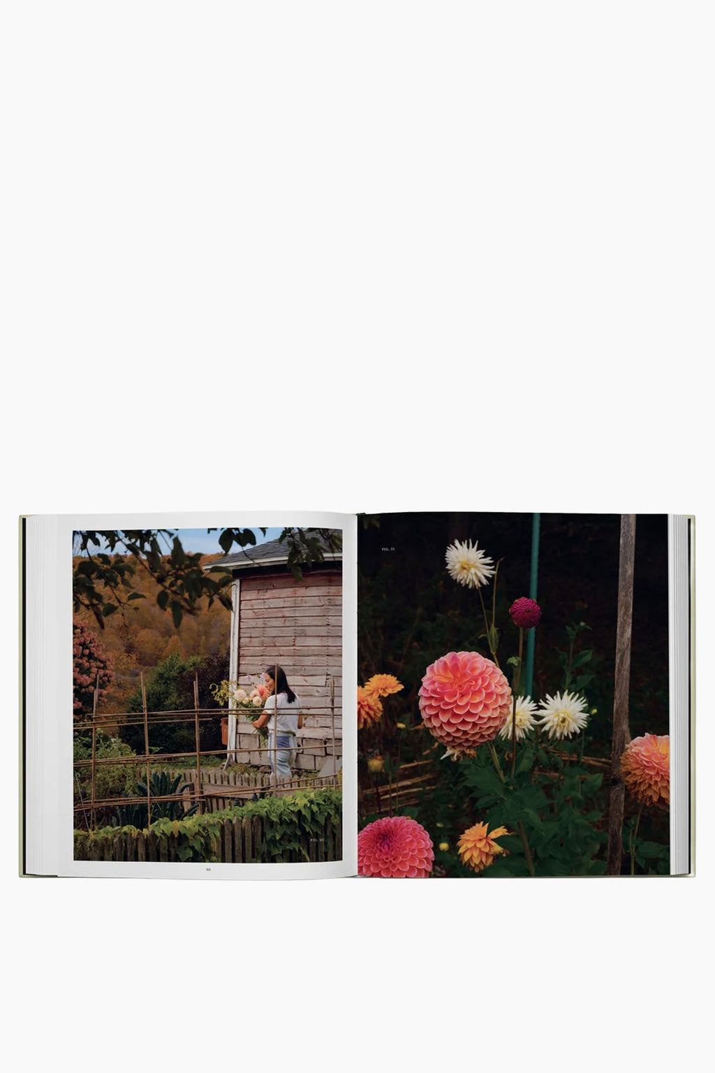 Once Around the Sun: Seasonal Rituals, Food, and Stories from a House Upstate