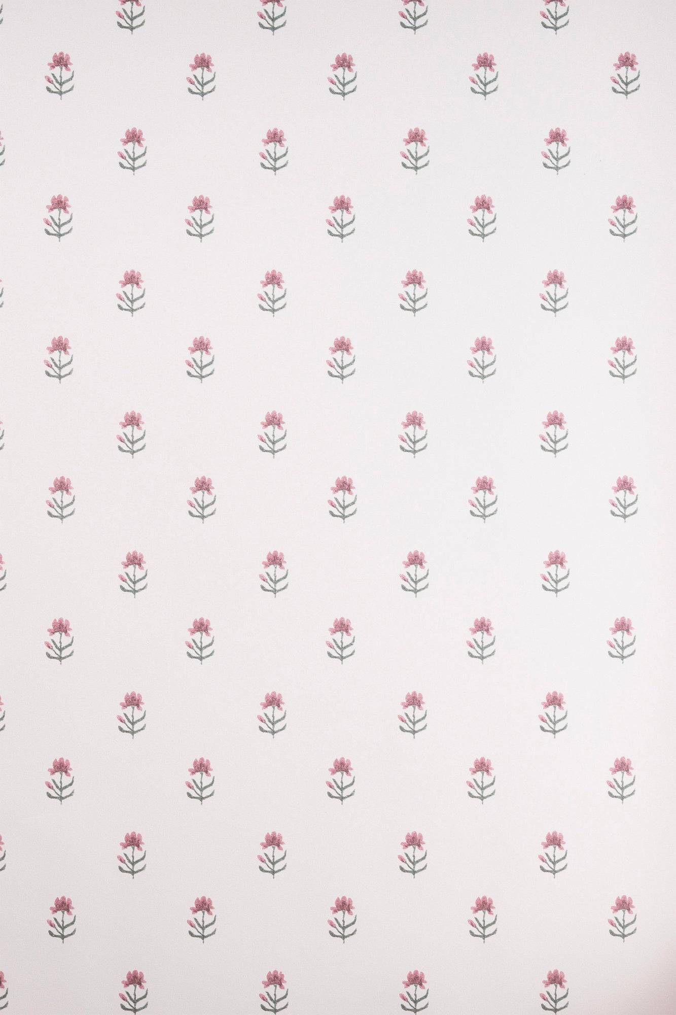 Wrapping Paper Roll Set