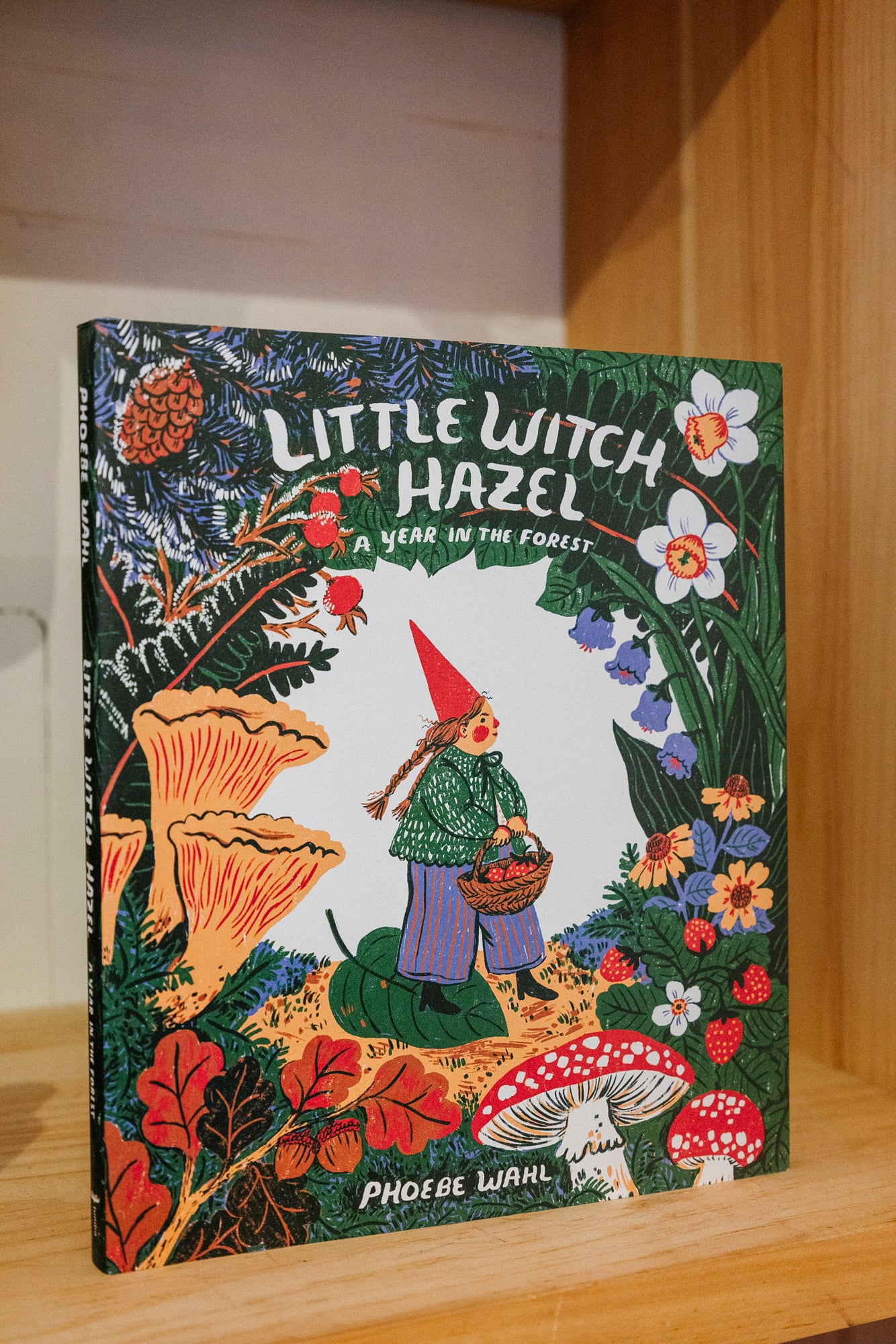 Little Witch Hazel