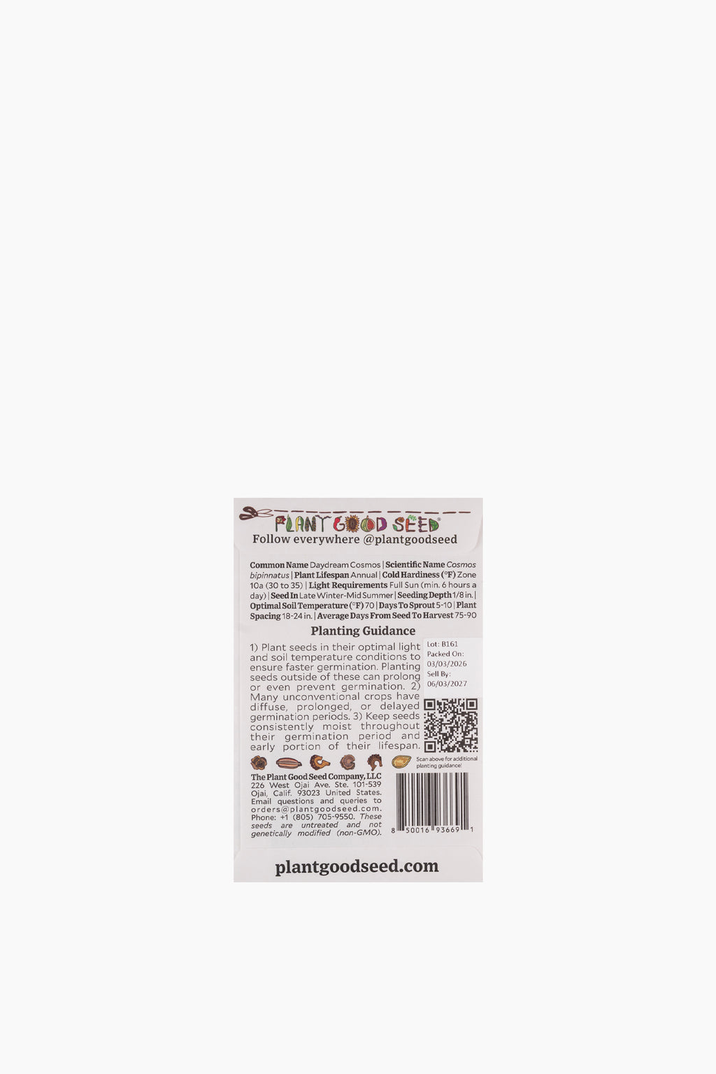 Assorted Flower Seeds