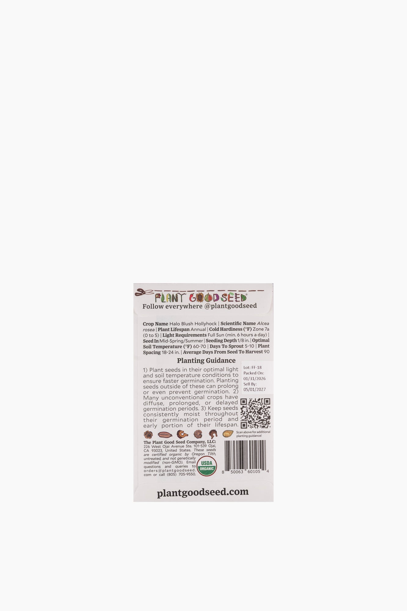 Assorted Flower Seeds
