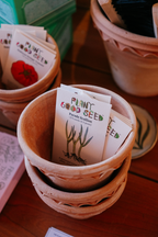 Assorted Vegetable Seeds