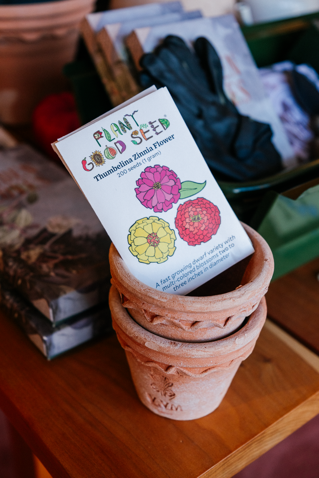 Assorted Flower Seeds