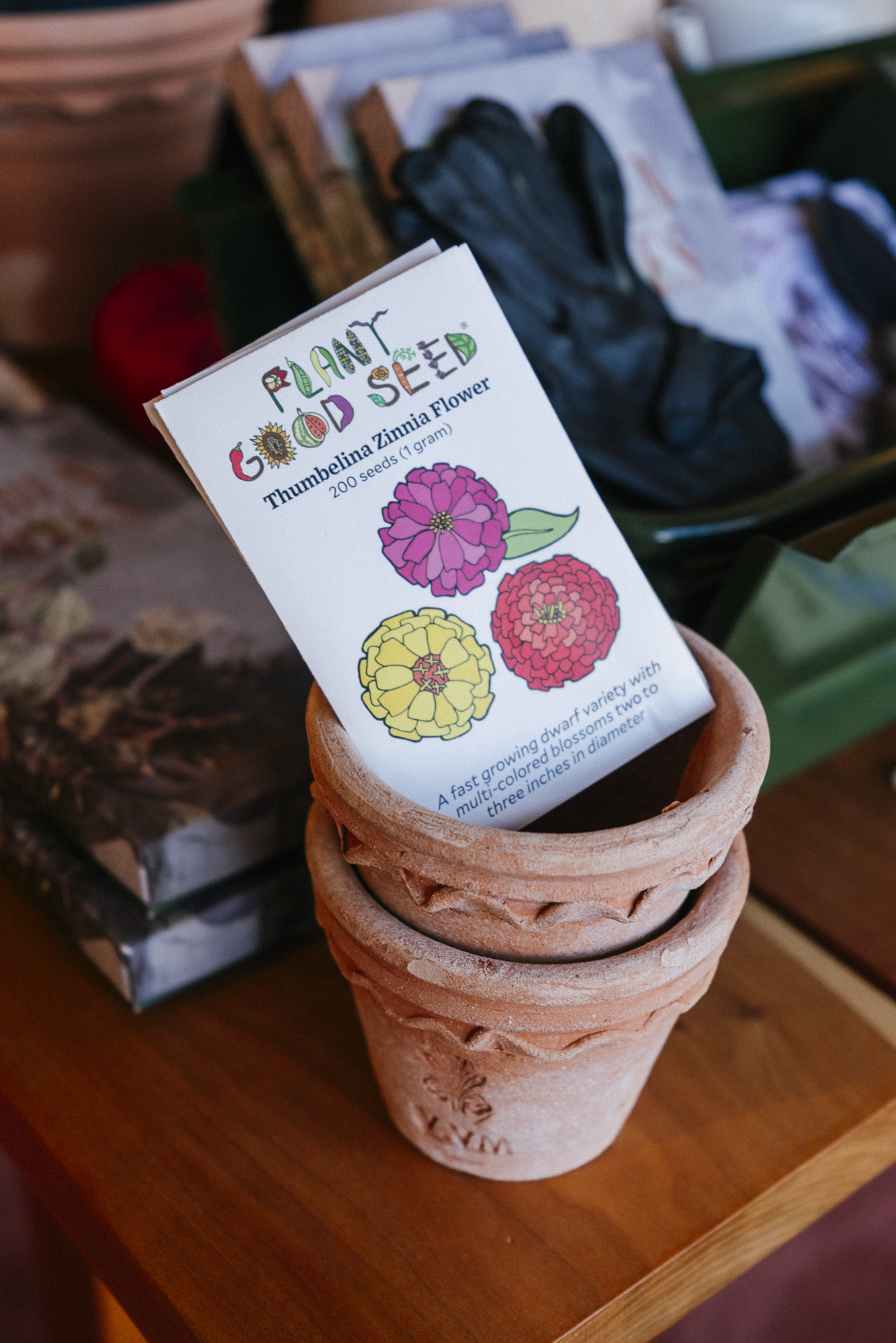Assorted Flower Seeds