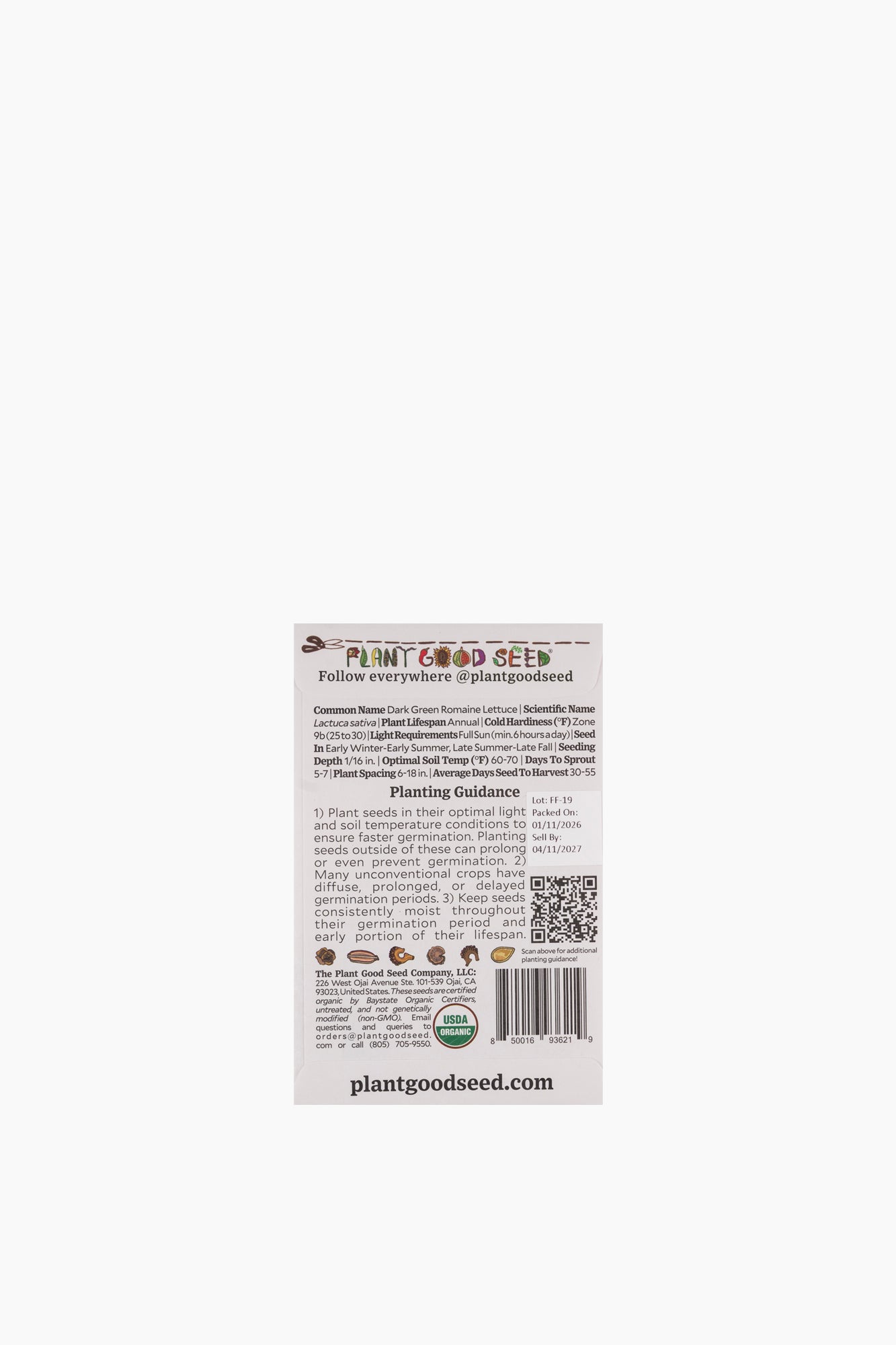 Assorted Vegetable Seeds