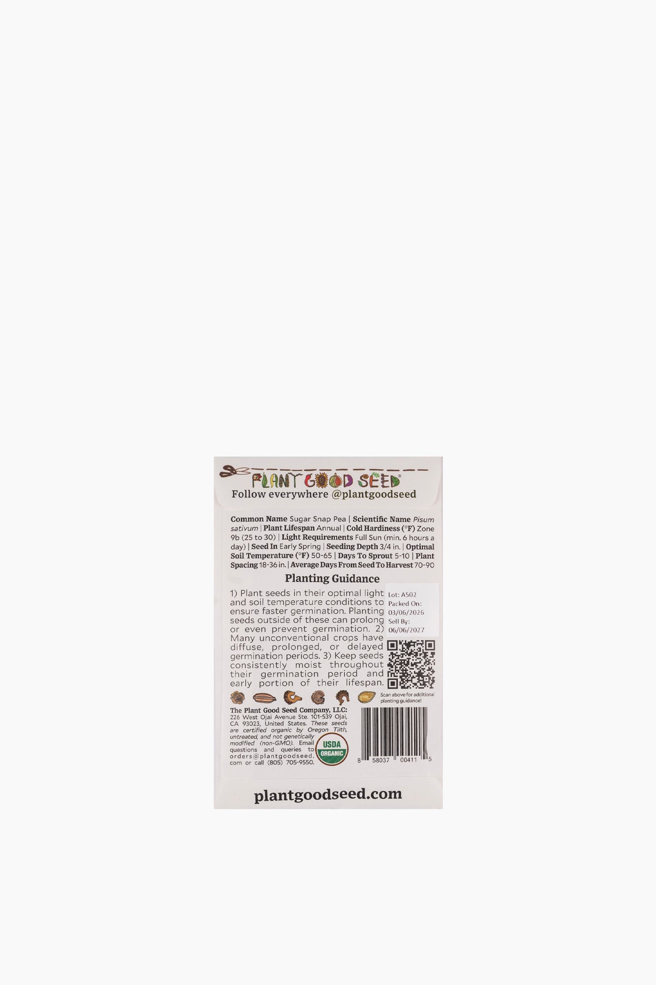 Assorted Vegetable Seeds