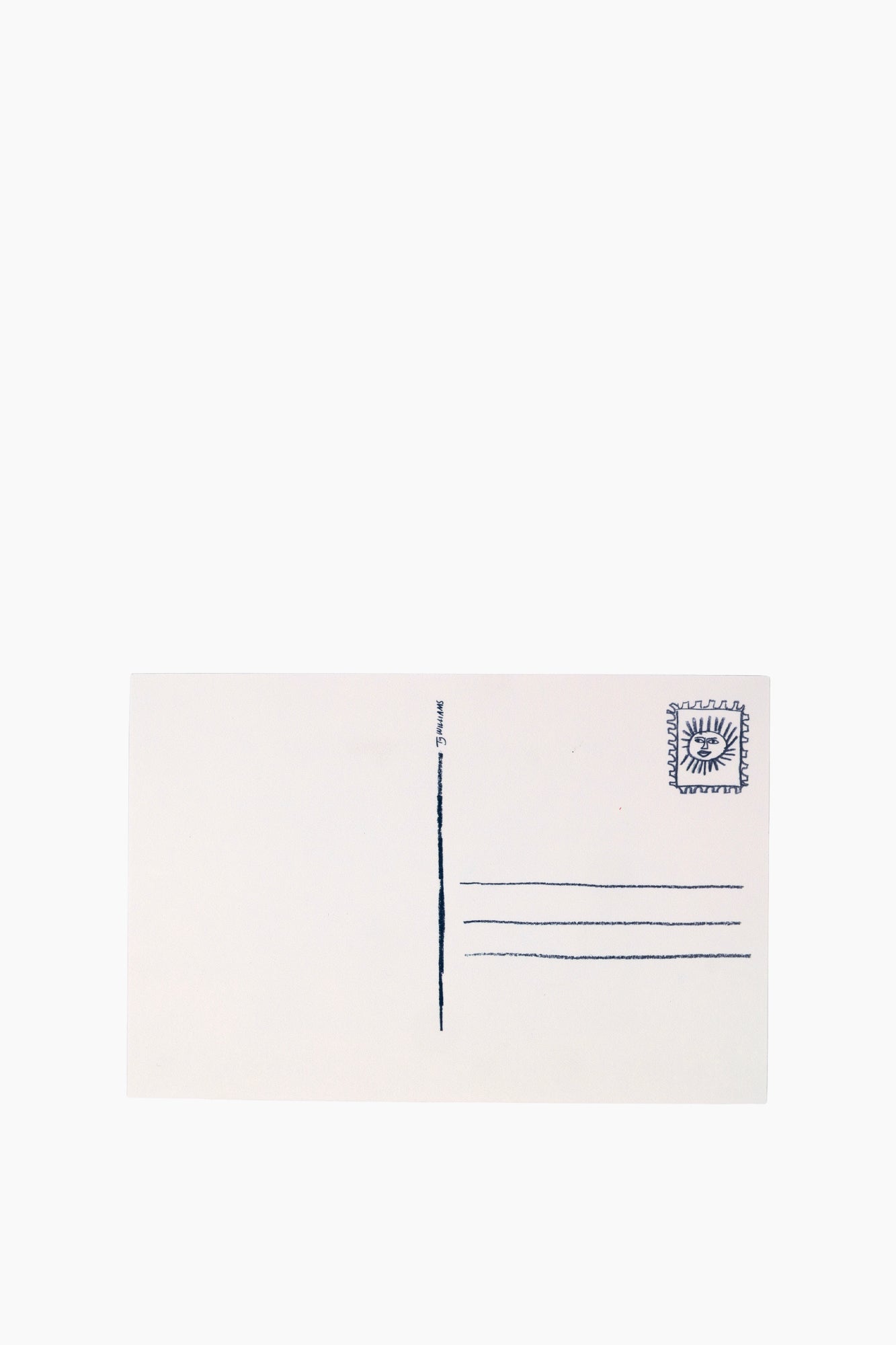 Sun Seekers Postcard