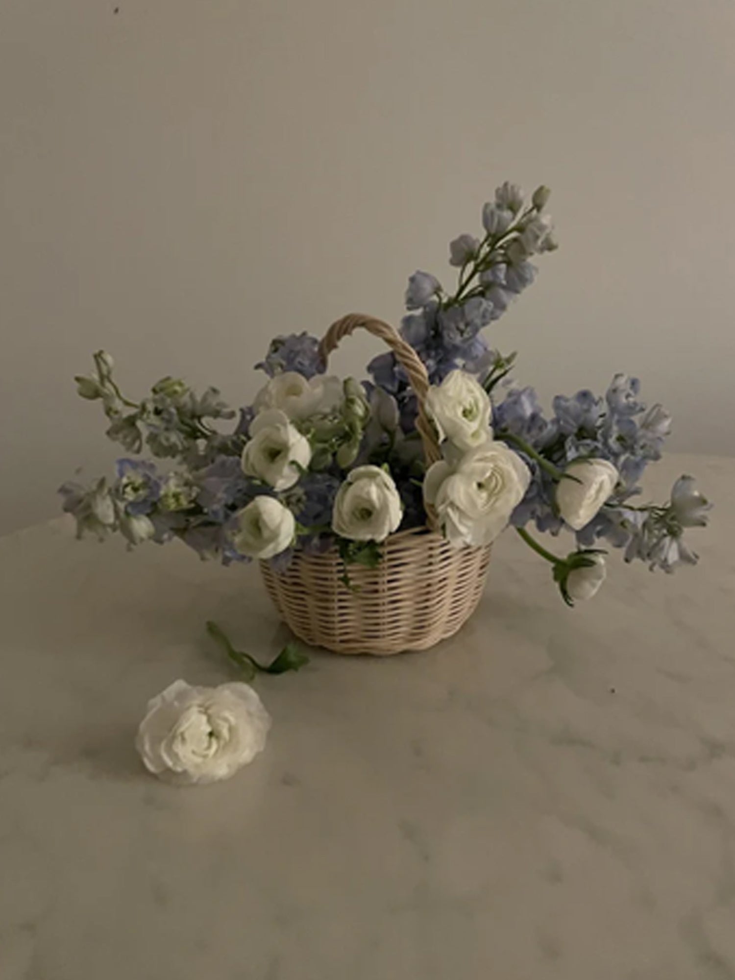 Beginner Basket Making Kit | Baby Botanical Basket