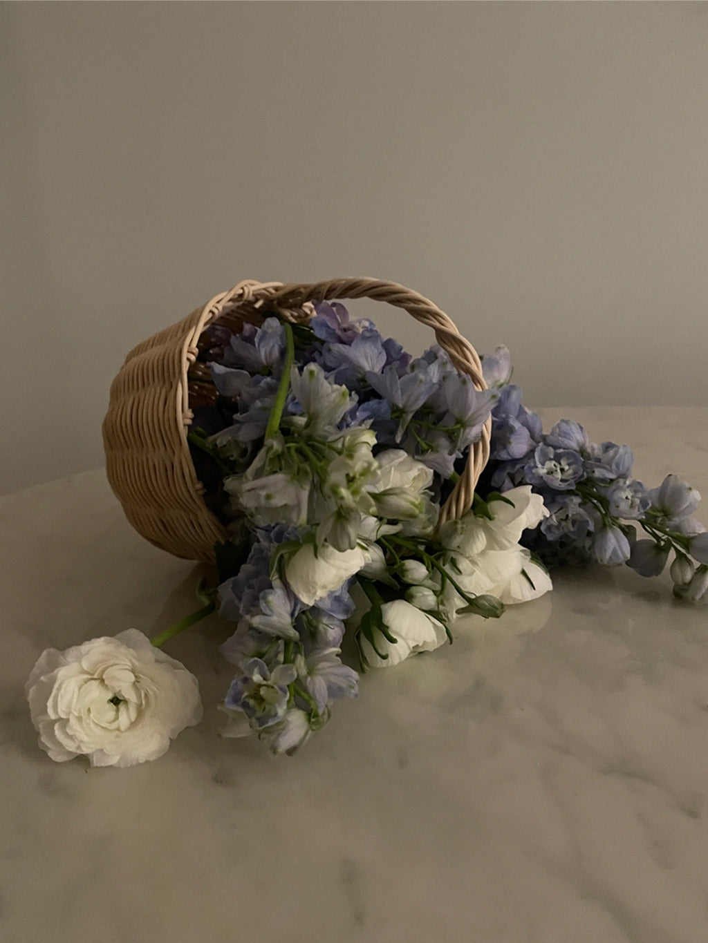 Beginner Basket Making Kit | Baby Botanical Basket