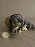 Beginner Basket Making Kit | Baby Botanical Basket