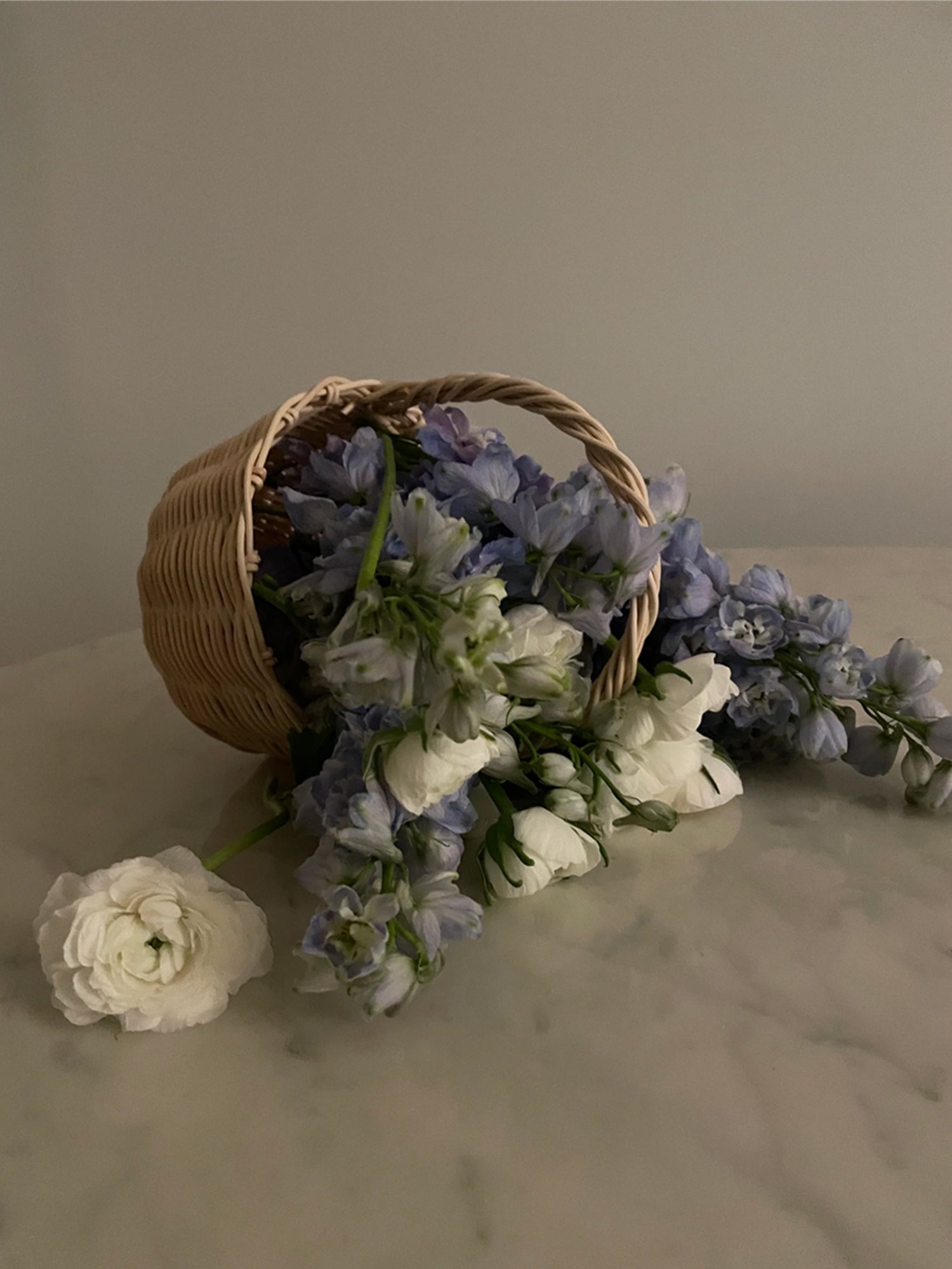 Beginner Basket Making Kit | Baby Botanical Basket