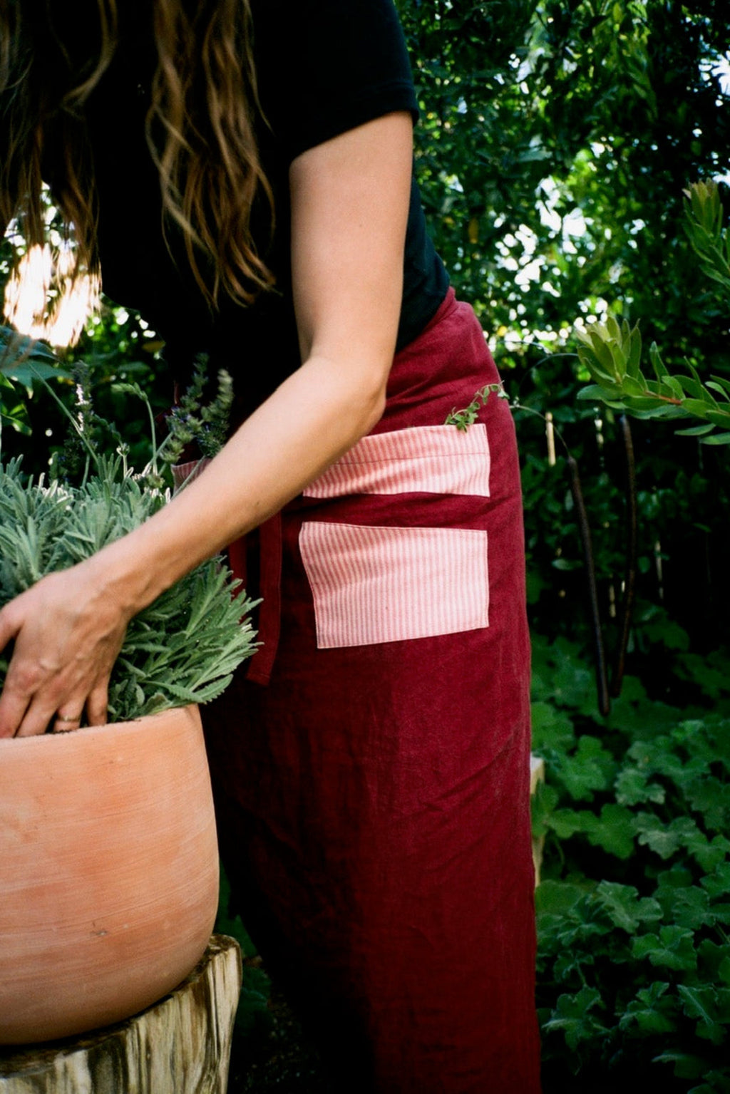 The Apron