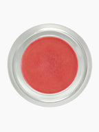 Pink Lady's Slipper Shimmer