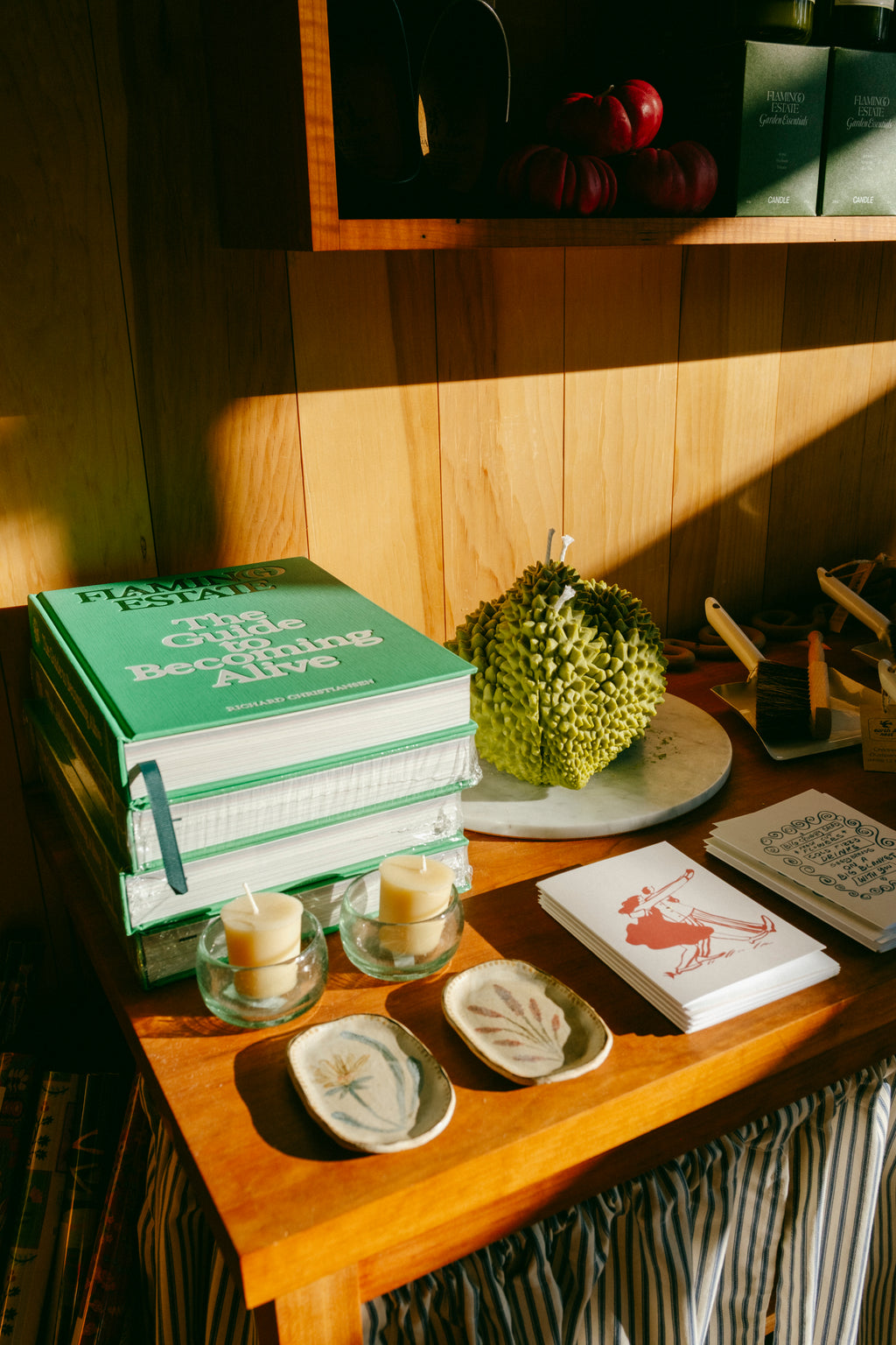 The Guide to Becoming Alive