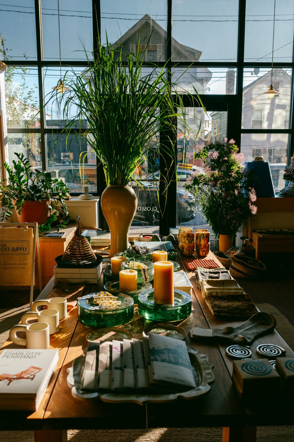 Citronella Coil | Small