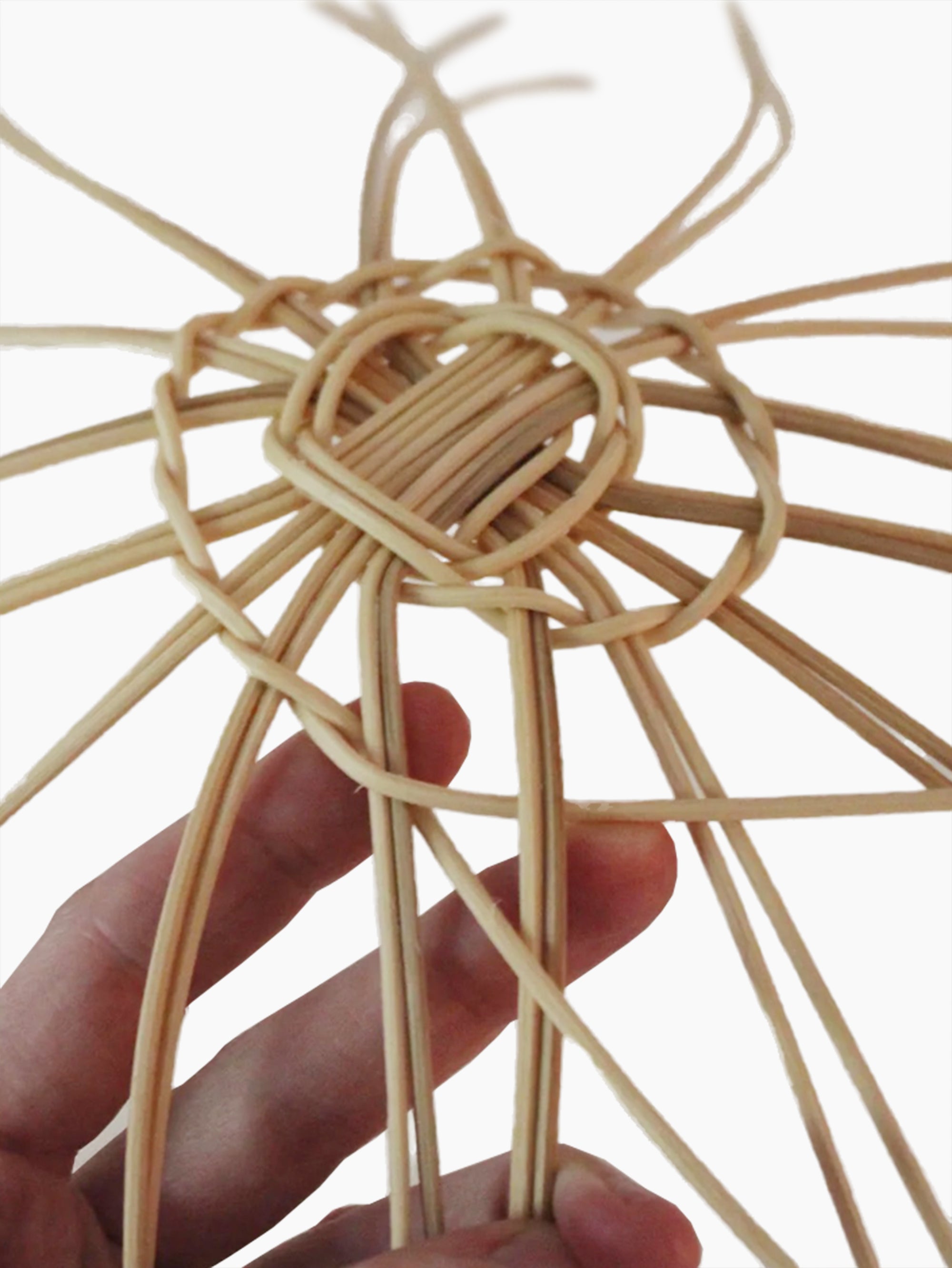 Beginner Basket Making Kit | The Sweet Onion