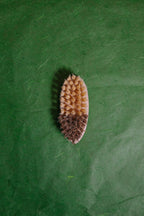 Vegetable Brush