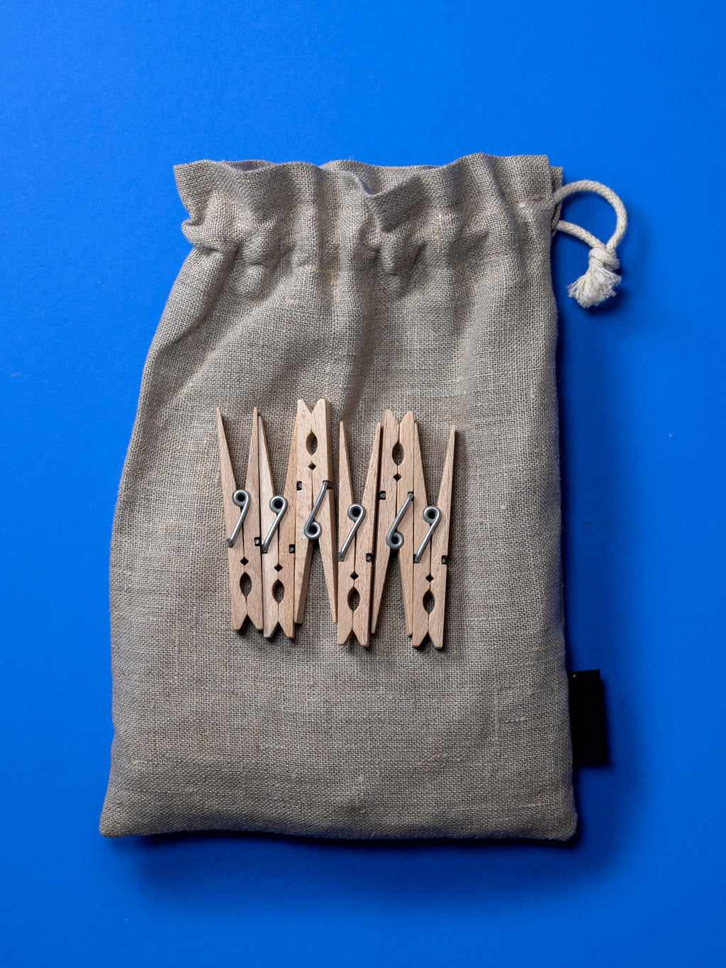 Clothes Pegs in Bag