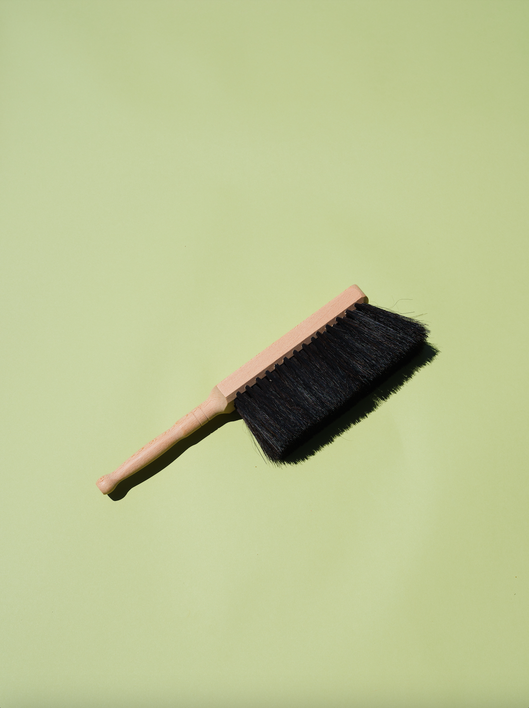 Horse Hair Brush