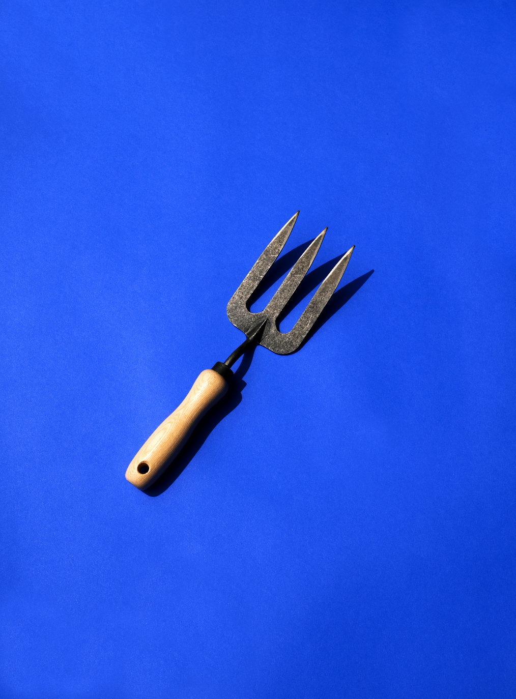 Forged Fork