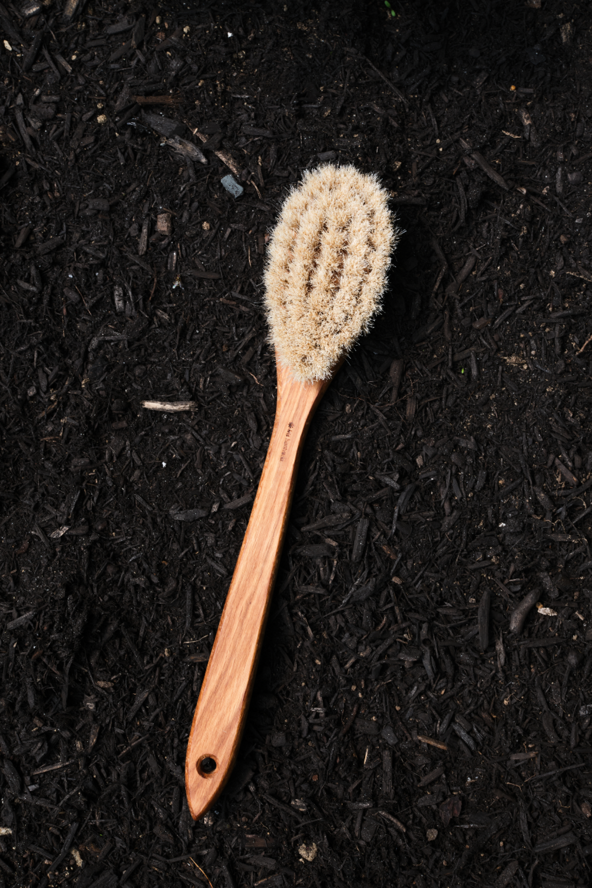 Bath Brush With Handle